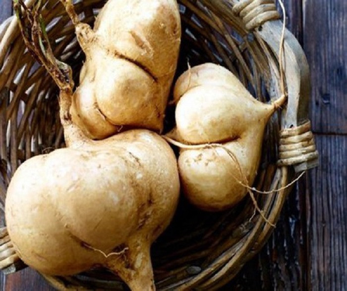 hat_giong_cu_dau2_sulh 3