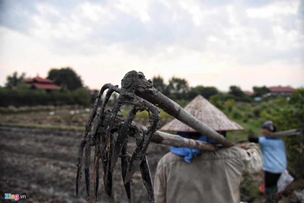 chuangahoang_zing_1 14