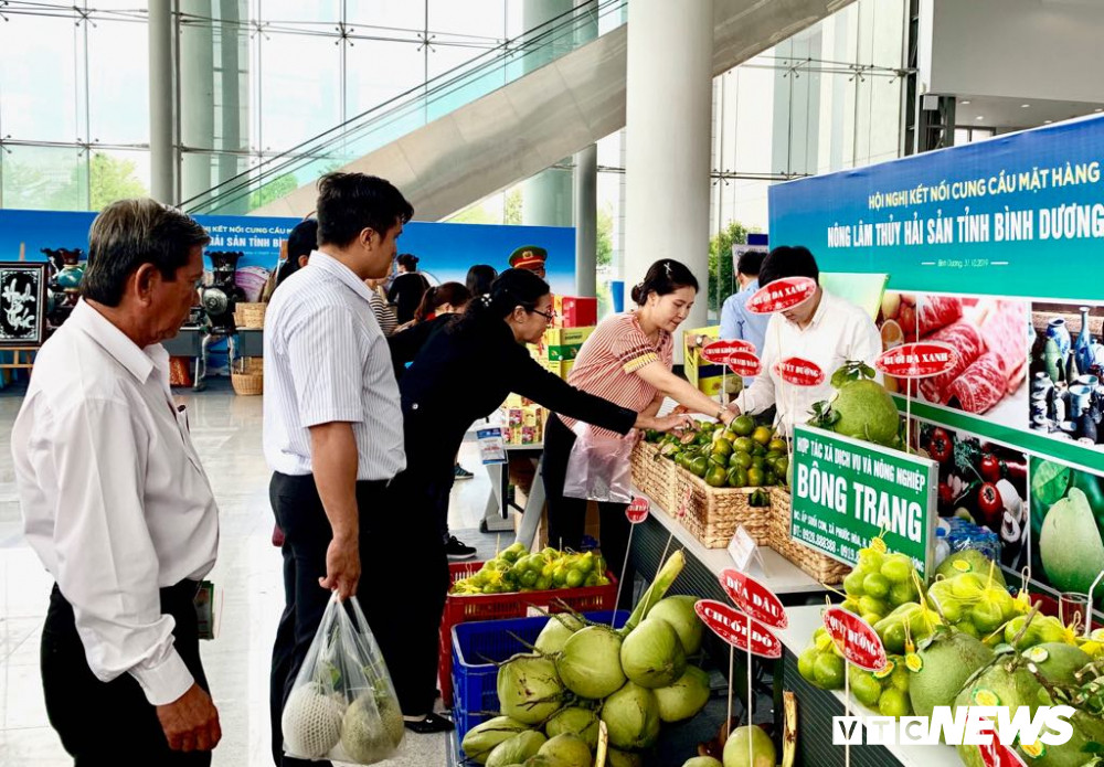 74645254_2245791815641556_3490539592409415680_n 3