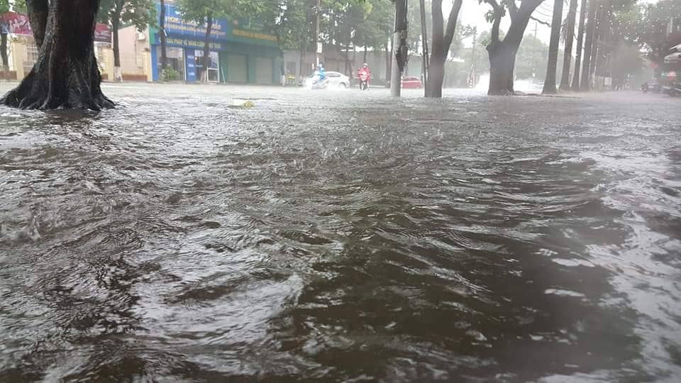 72777040_508623183310608_741351654967738368_n