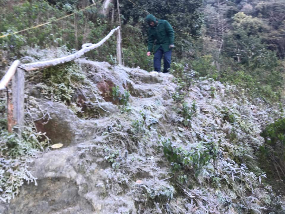 78573662_1943279222483501_142834360108711936_n