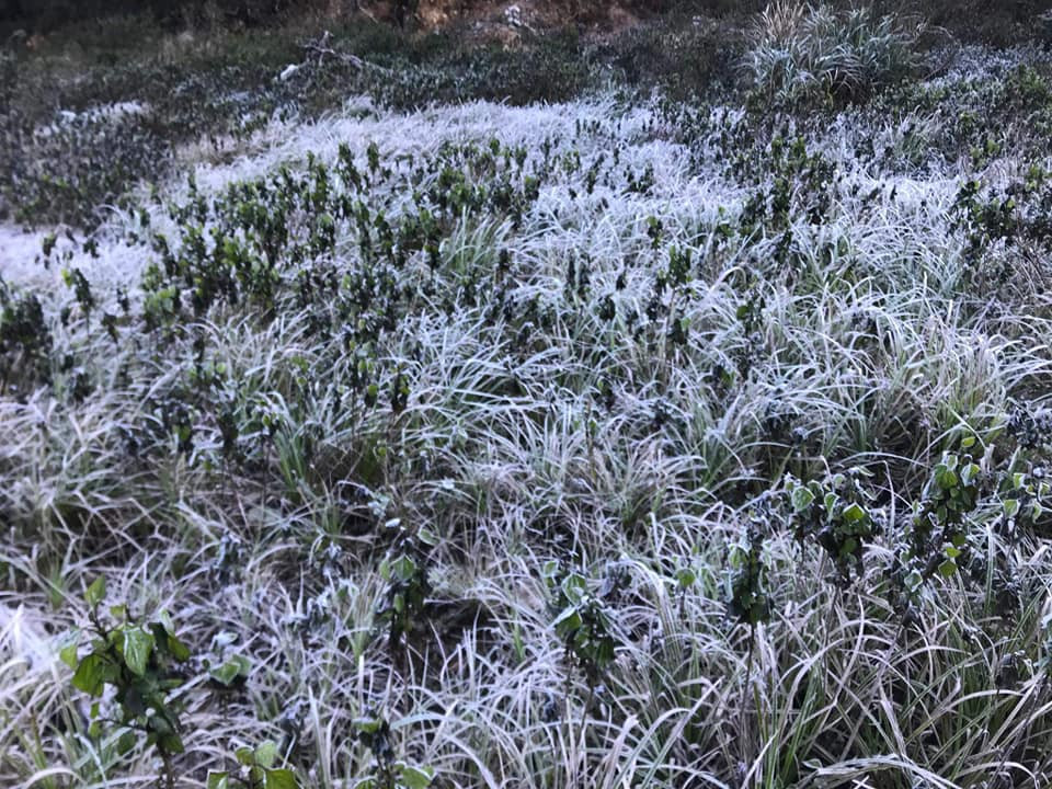 79095504_1943279335816823_3529637787806466048_n 3