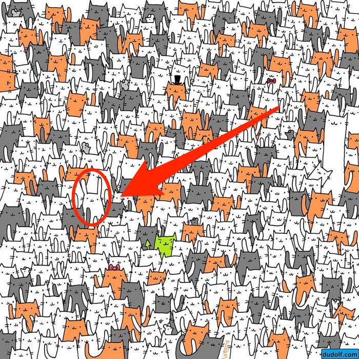 dap an tim chu tho 5