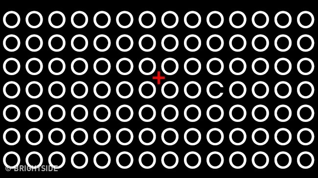 anh 11 10