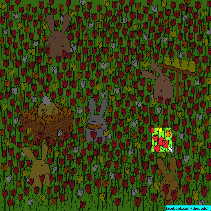 dap an qua trung phuc sinh