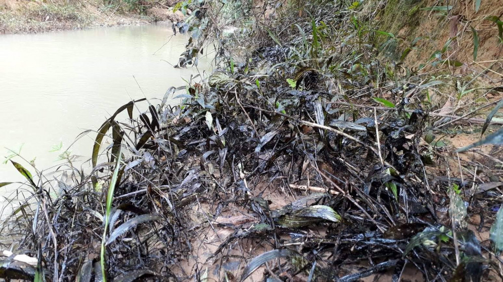 74794531_405427843667912_4184058480069443584_n