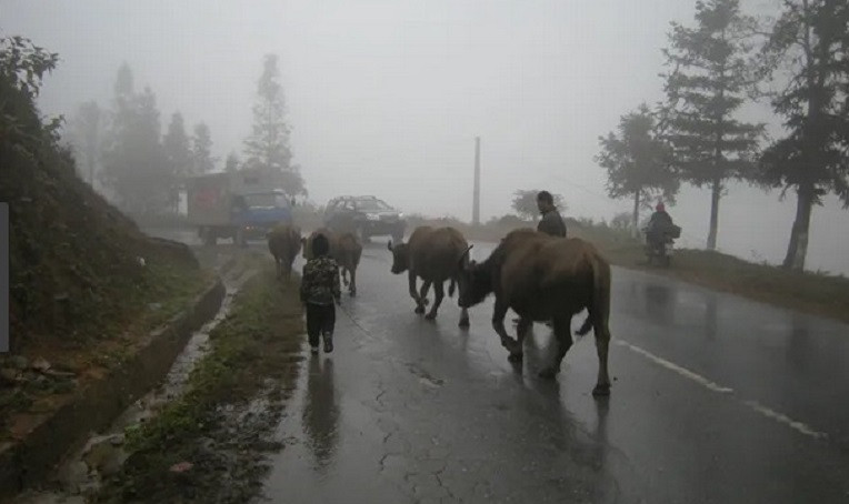 Khong khi lanh mien nui phia bac