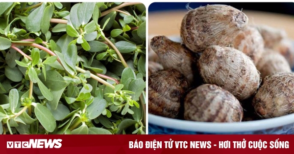 2 loại rau 'sống thọ' được thế giới ca tụng có ở Việt Nam nhưng không ai biết