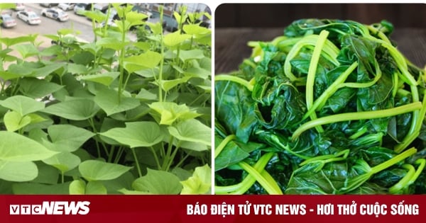 Loại rau dân dã bán đầy chợ Việt chứa chất ngừa ung thư, tốt như thần dược