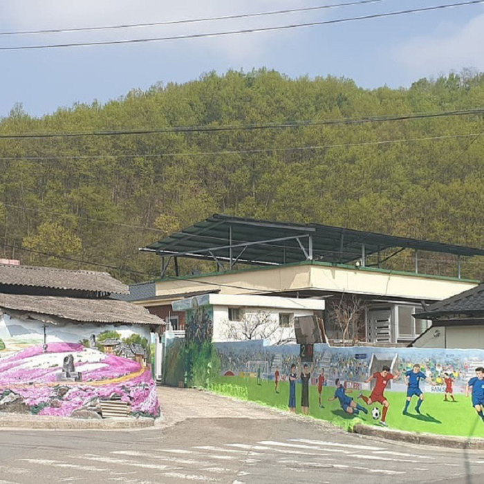 Dân mạng lục lại hình ảnh tranh bích họa Đội tuyển Việt Nam rực rỡ trên quê hương thầy Park - 10