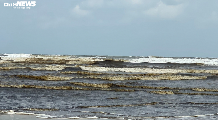 Vì sao nước biển Quảng Ngãi chuyển màu đen? - 3