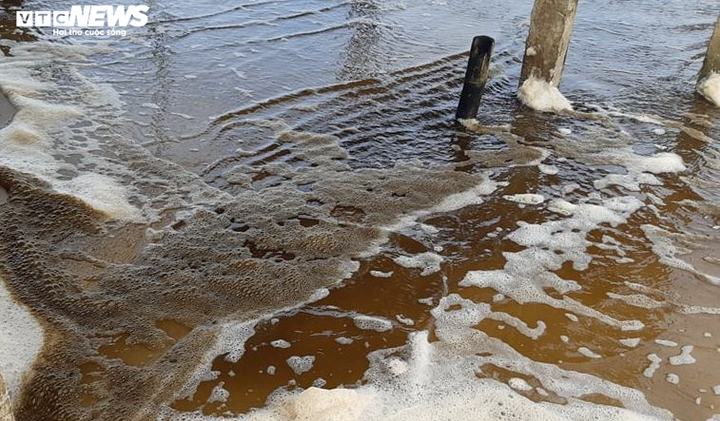 Vì sao nước biển Quảng Ngãi chuyển màu đen? - 1