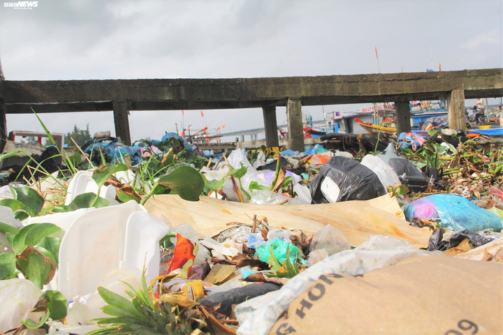 Rác ngập ngụa kéo dài cả cây số ở hạ nguồn Thu Bồn - 7