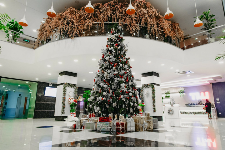 Ảnh: Mê mẩn trước khung cảnh Giáng sinh lung linh ở nhiều đại học - 1