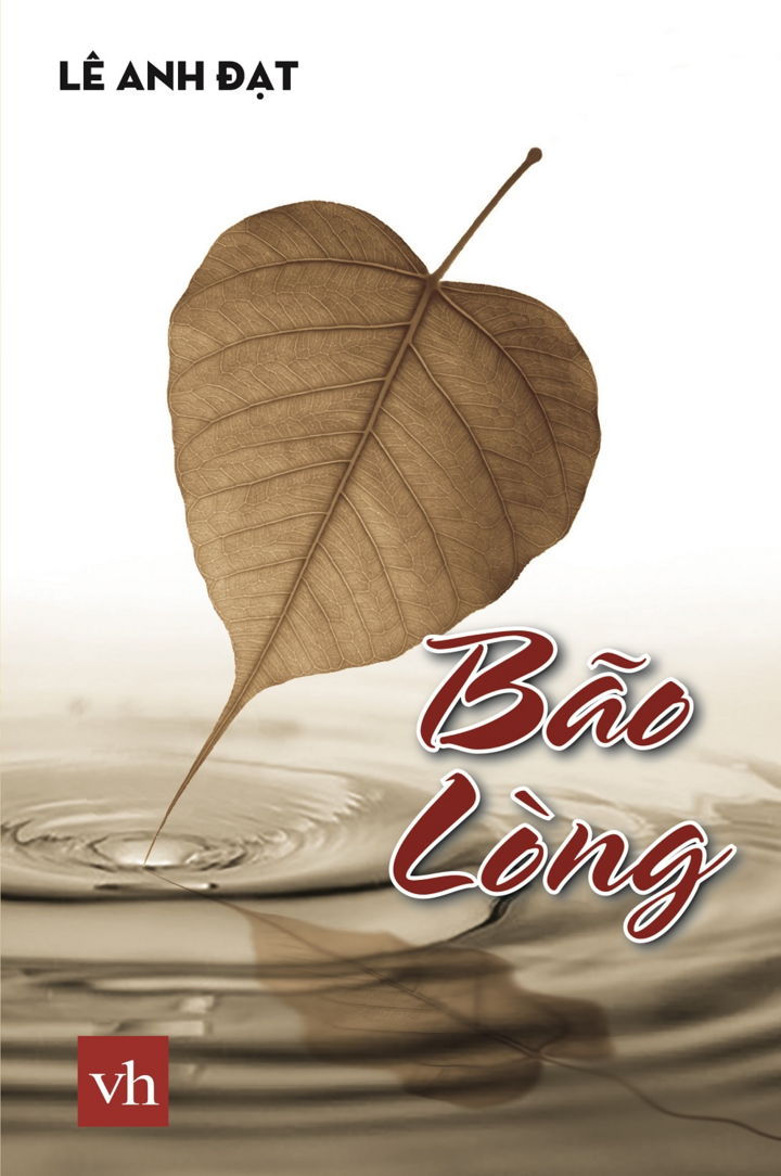 ‘Người đi trong bão’ ra mắt ‘Bão lòng’: Nỗi đau hóa ngọc! - 2