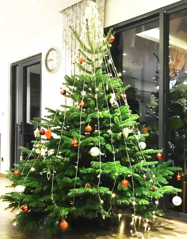 Đại gia Việt 'bạo tay' chi hàng chục triệu mua cây thông 'khủng' đón Noel - 7