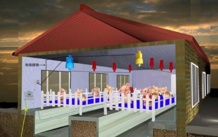 Nhà khoa học hiến kế chống khủng hoảng thịt lợn ở Trung Quốc - 1