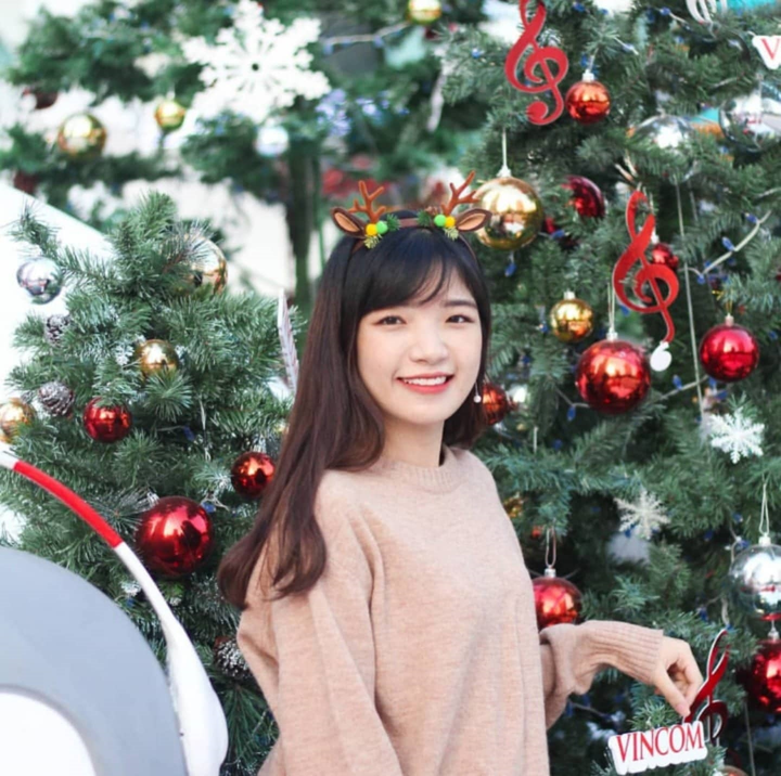 Những điểm đến rực rỡ sắc màu không thể bỏ qua trong đêm Giáng sinh - 14