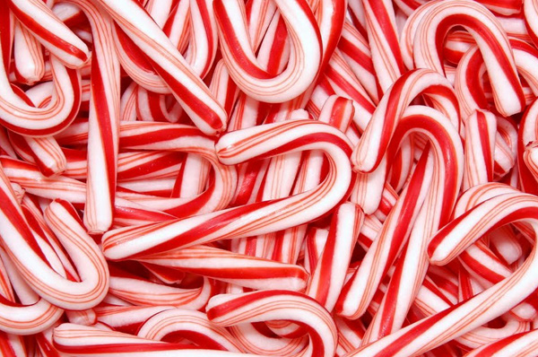 Mừng mùa lễ hội năm 2019: 5 món ăn truyền thống không thể thiếu trên bàn tiệc Giáng sinh - 5