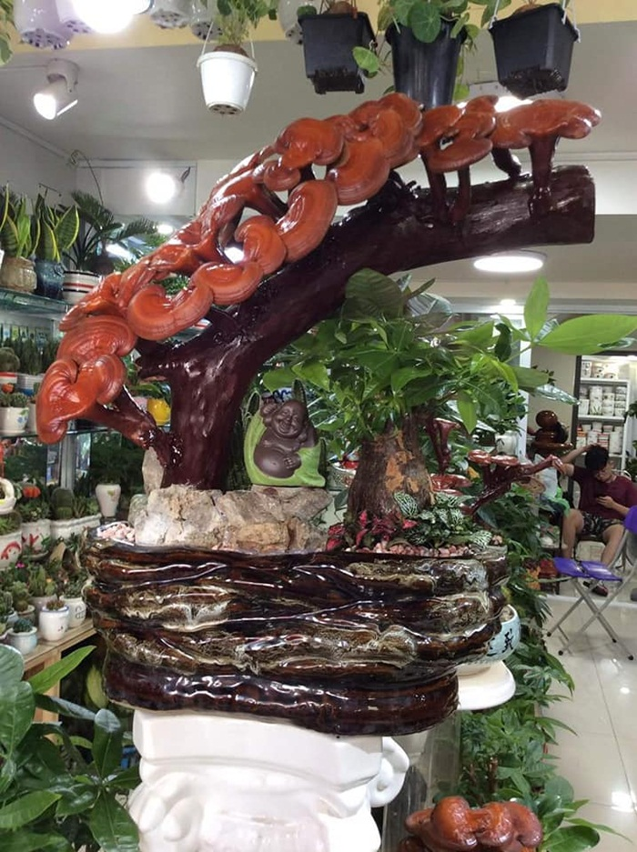 Giá đắt đỏ tiền triệu, nấm linh chi bonsai vẫn hút khách - 4