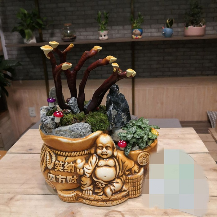 Giá đắt đỏ tiền triệu, nấm linh chi bonsai vẫn hút khách - 8