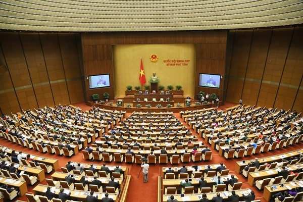 Nghị trường năm 2019: Sôi nổi, đổi mới và trách nhiệm - 1