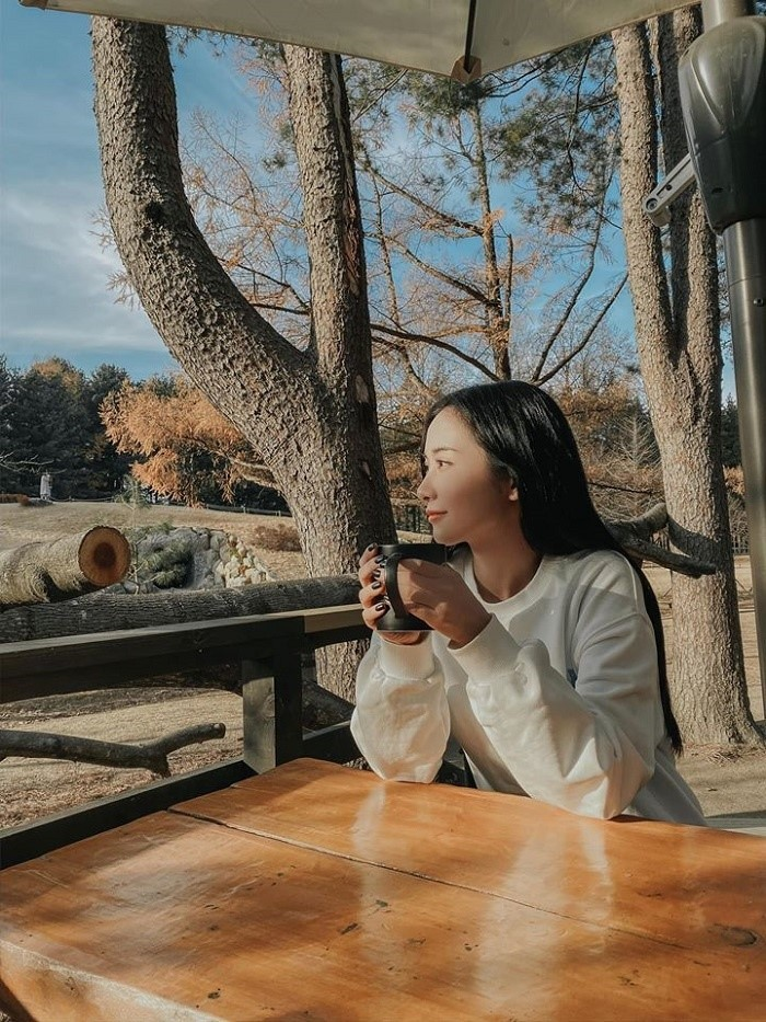 Quyền Linh, MC Đan Lê và loạt sao Việt thích thú du lịch Hàn Quốc - 3