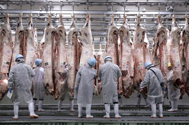 Dân thiếu thịt, Trung Quốc phải gỡ bỏ lệnh cấm suốt 18 năm với Nhật Bản - 1