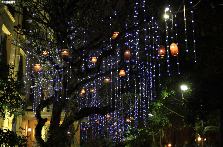 Nhà thờ Lớn Hà Nội lung linh huyền ảo trong đêm Giáng sinh - 4