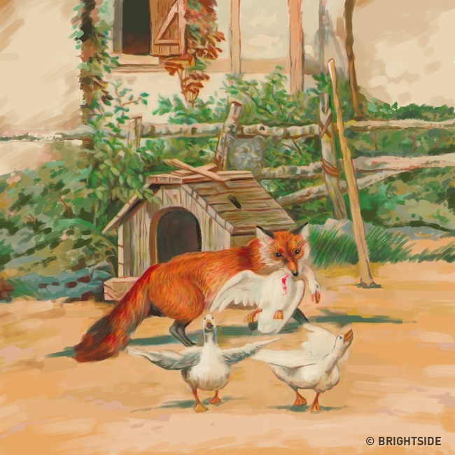 Mỏi mắt tìm kiếm vật bị thất lạc trong 4 bức tranh - 1