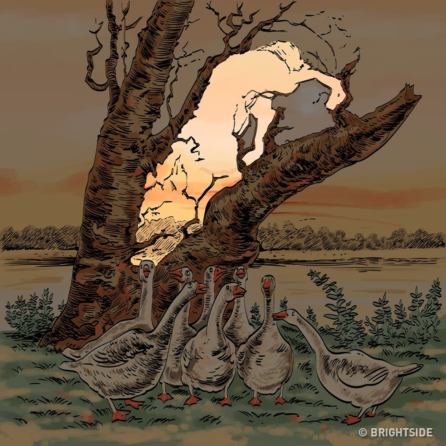 Đáp án 'câu đố tìm vật thất lạc trong 4 bức tranh' - 3