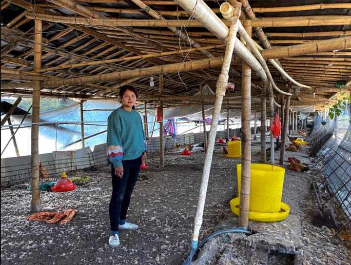 Lợn chết chuyển sang nuôi gà, nông dân Trung Quốc vẫn 'méo mặt' vì thua lỗ - 2