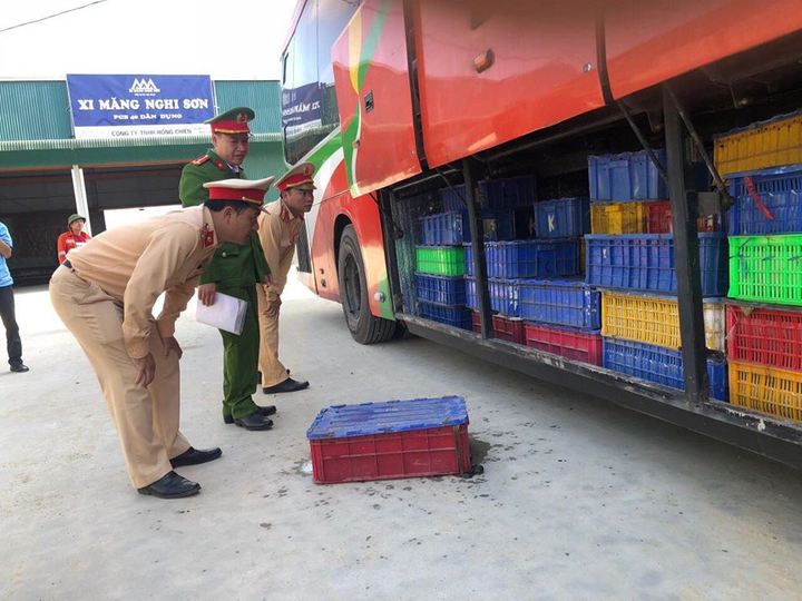 Xe khách chở hơn 5 tấn động vật rừng quý hiếm - 1