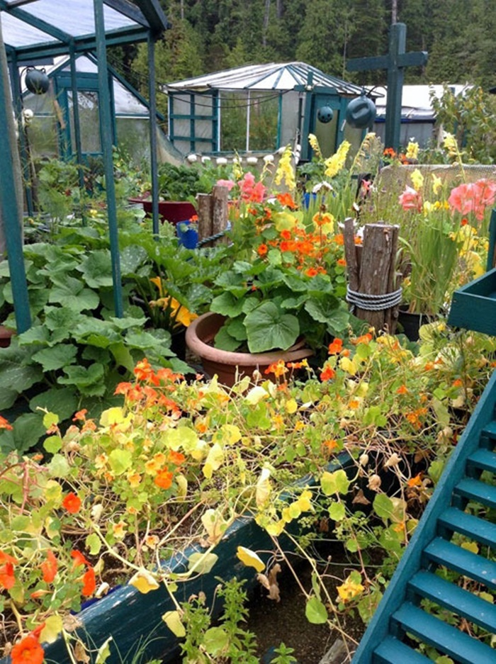 Cặp vợ chồng dành 27 năm xây nhà nổi trên đảo, giá hơn 30 tỷ đồng - 9