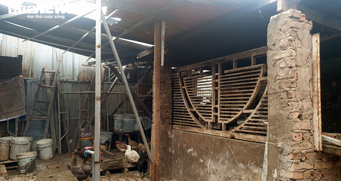 Tháo dỡ công trình trái phép 'núp bóng' chuồng gà tại điểm nóng đất đai ở Hải Phòng - 3