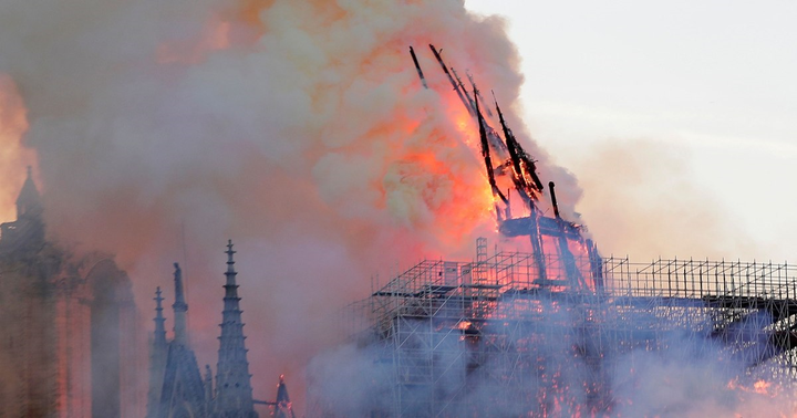 Những bức ảnh nhiều cảm xúc năm 2019 - 7