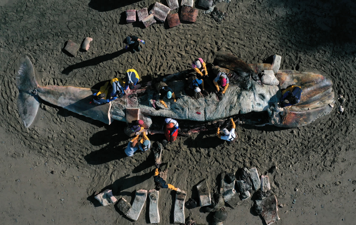 Những bức ảnh nhiều cảm xúc năm 2019 - 6