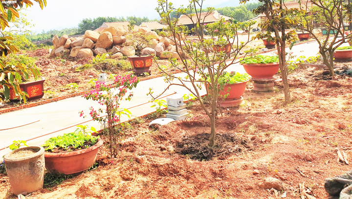 Cận cảnh biệt phủ 'mọc' trái phép của 'đại gia' Quảng Nam - 10