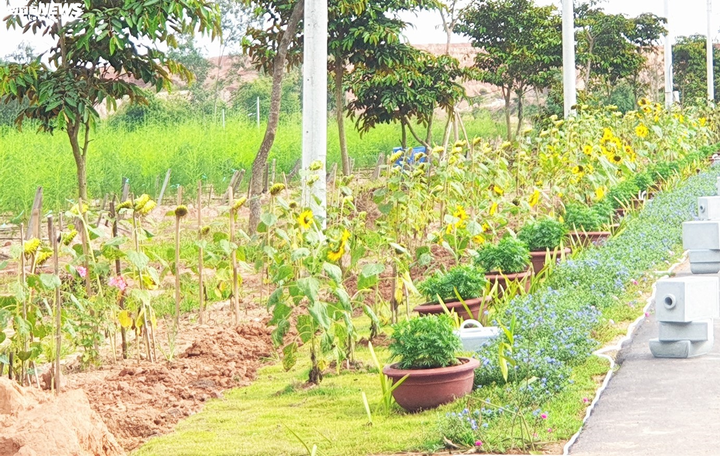 Cận cảnh biệt phủ 'mọc' trái phép của 'đại gia' Quảng Nam - 6