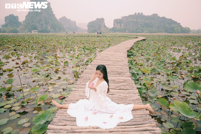 Những mùa hoa đặc biệt giữa trời đông, bạn trẻ nô nức check in ở đất cố đô - 1