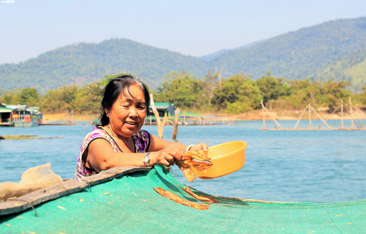 Cận cảnh cuộc mưu sinh của dân làng chài trong lòng hồ thủy điện Sê San - 7