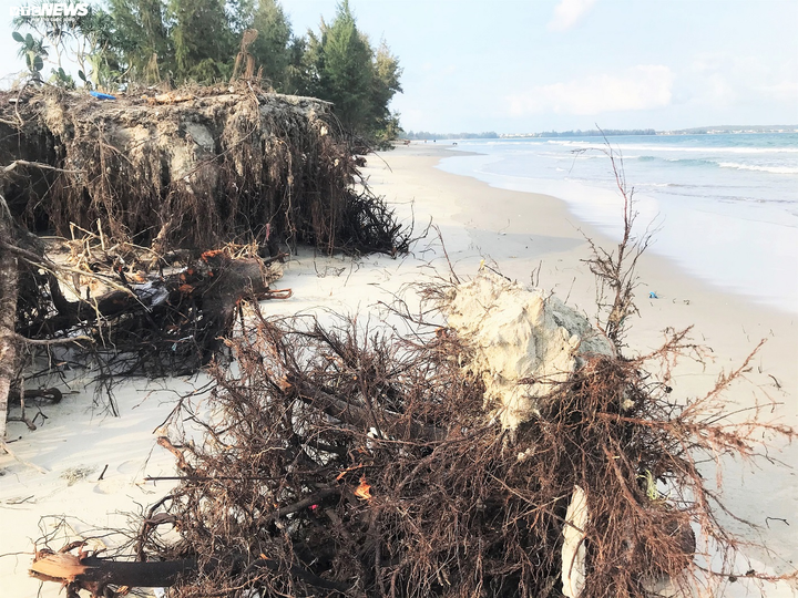 Sóng ‘ngoạm’ gần 2 cây số bờ biển Quảng Ngãi - 5