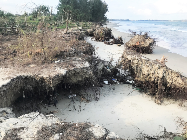 Sóng ‘ngoạm’ gần 2 cây số bờ biển Quảng Ngãi - 6