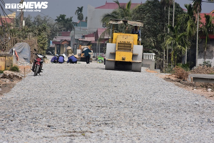 Nông dân Hải Phòng xót xa nhìn hơn nghìn gốc đào bị bụi đường phủ trắng xóa trước Tết - 2