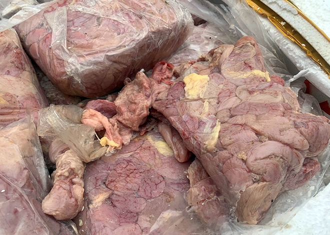 Hà Nội: Phát hiện hàng tấn thực phẩm đông lạnh 'lậu' tại sân siêu thị MM Mega Market - 7