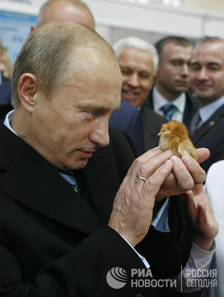 20 năm cầm quyền và những bức ảnh đậm chất Putin - 10