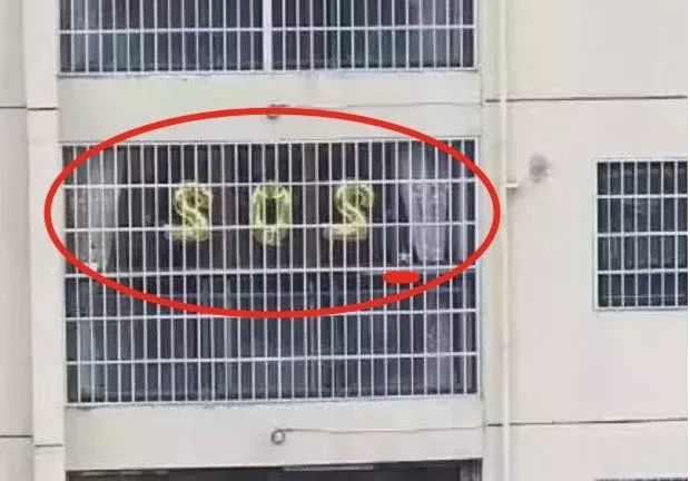 Sự thật không ngờ sau thông điệp cầu cứu từ căn nhà đối diện - 1