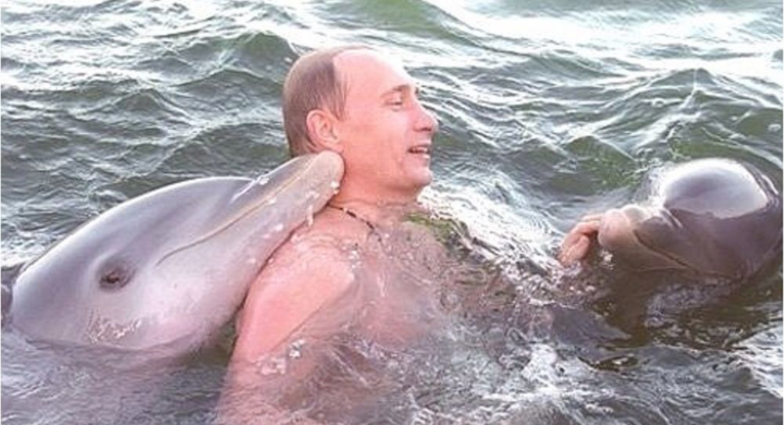 Video: Tổng thống Putin bơi cùng cá heo ở Cuba - 1