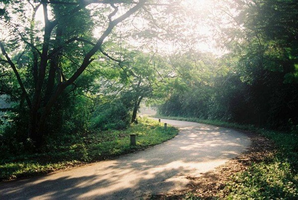 Nghỉ Tết Dương lịch 1 ngày, lên đường đến ngay 5 địa điểm du lịch quanh Hà Nội - 5