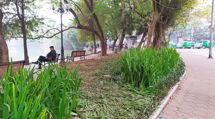 Ảnh: Vườn hoa hồ Hoàn Kiếm tan nát sau đêm giao thừa - 3